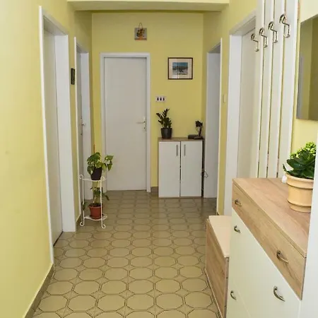 Apartman Vesna * פטרצ'אנה